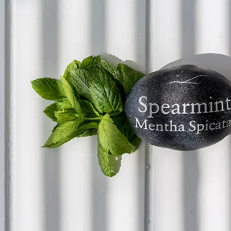 ホテル オストラコ スイーツ 4*