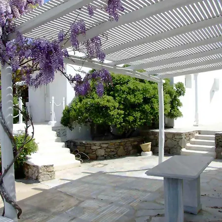 オストラコ スイーツ