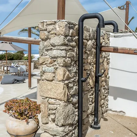 Ostraco 4*